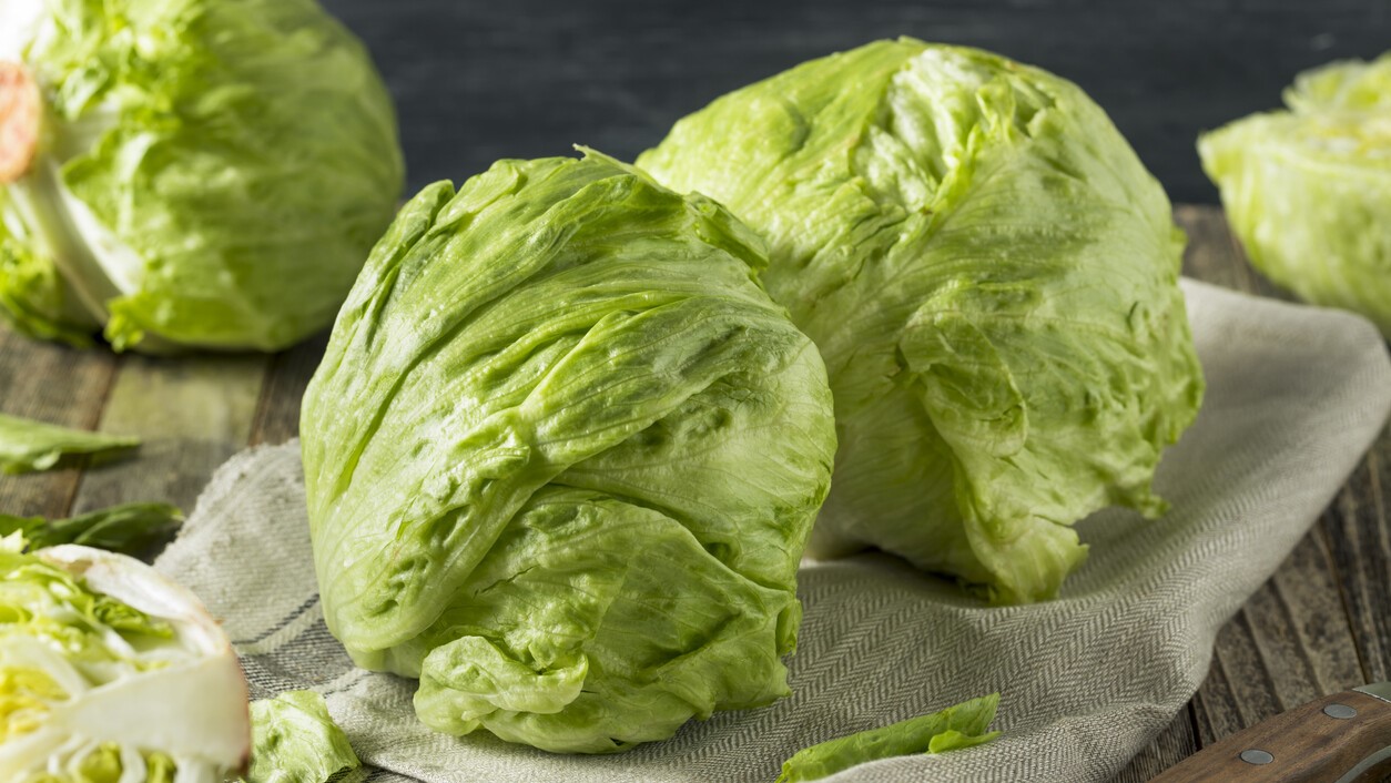 1366_2000|Lechuga Iceberg (1)|iceberg-lettuce-3684936_960_720